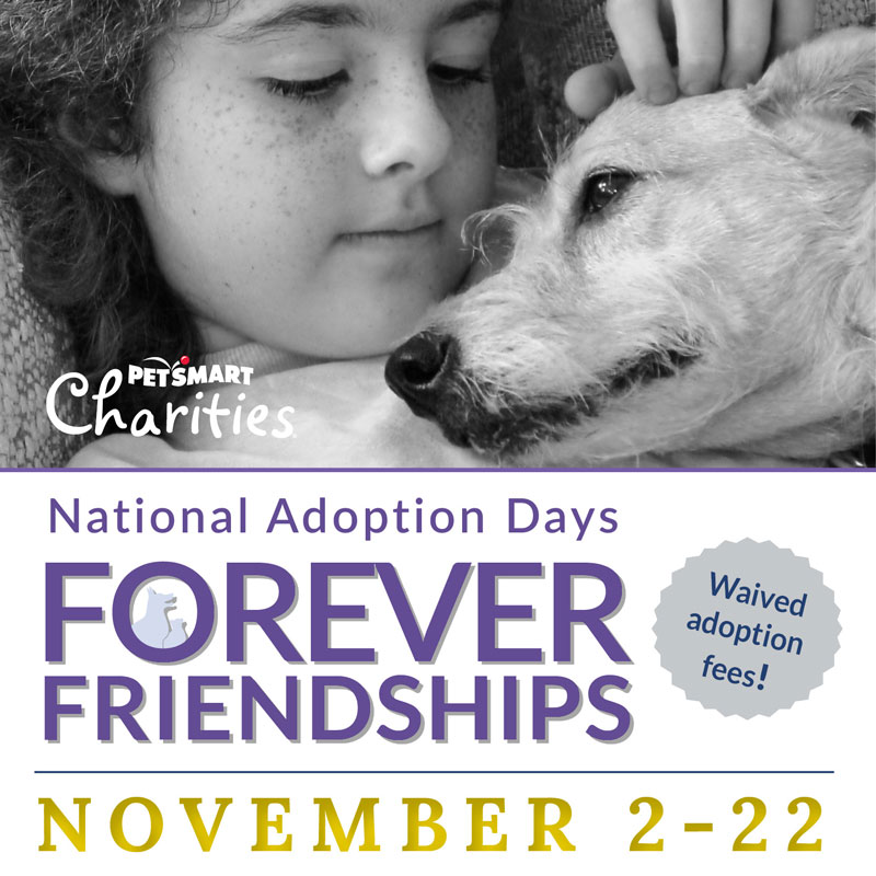 petsmart alliance adoption