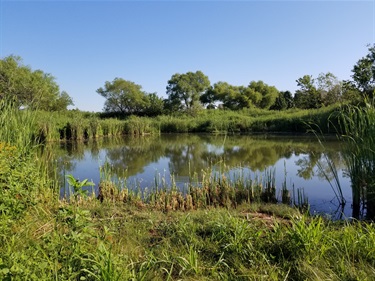 Coventry Hills Park – Welcome to the City of Fort Worth