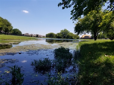 Creekwood Park