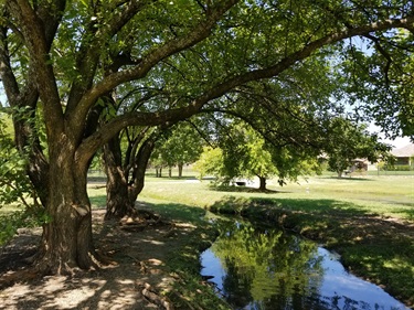 Creekwood Park