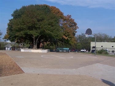 Basketball court