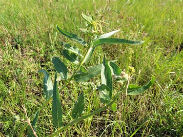 Quail Ridge Park