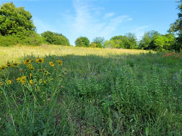 Quail Ridge Park