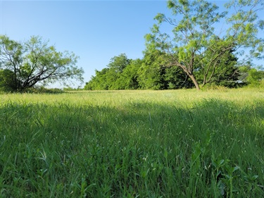 Quail Ridge Park