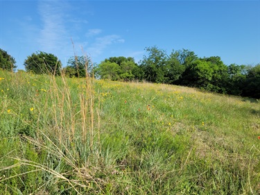 Quail Ridge Park