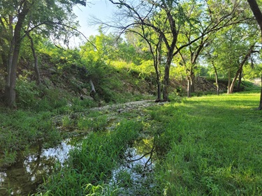 Quail Ridge Park