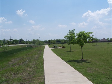 Trail with newly-planted trees