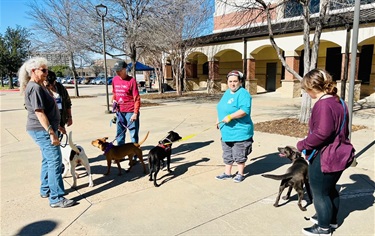 Neighborhood Awards Adoption Event 3-2-2024