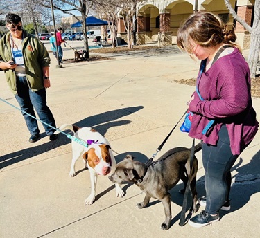 Neighborhood Awards Adoption Event 3-2-2024