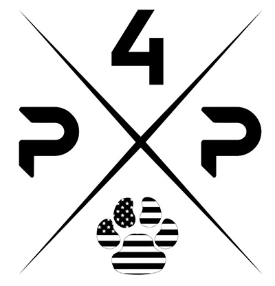 p4p-logo