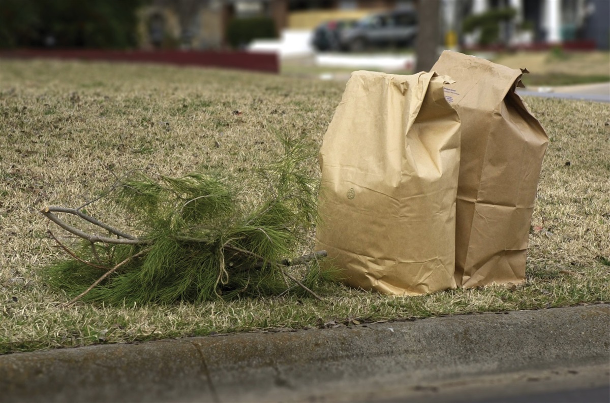 How to Dispose of Yard Waste in the DFW Area