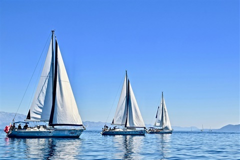 3 sailboats on the water