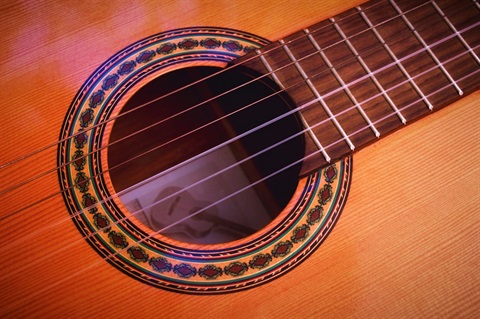 close up picture of a guitar with it's strings as the focal point