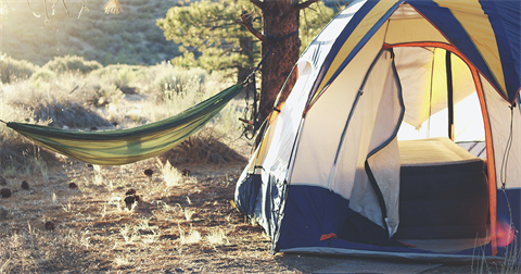 hammock and camping tent in the woods