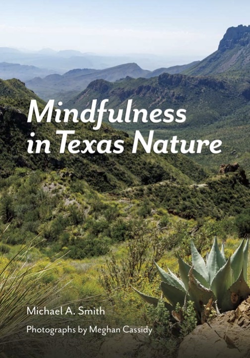 Mindfulness Texas Book Cover by Michael Smith
