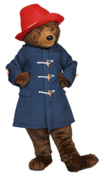 paddington costume