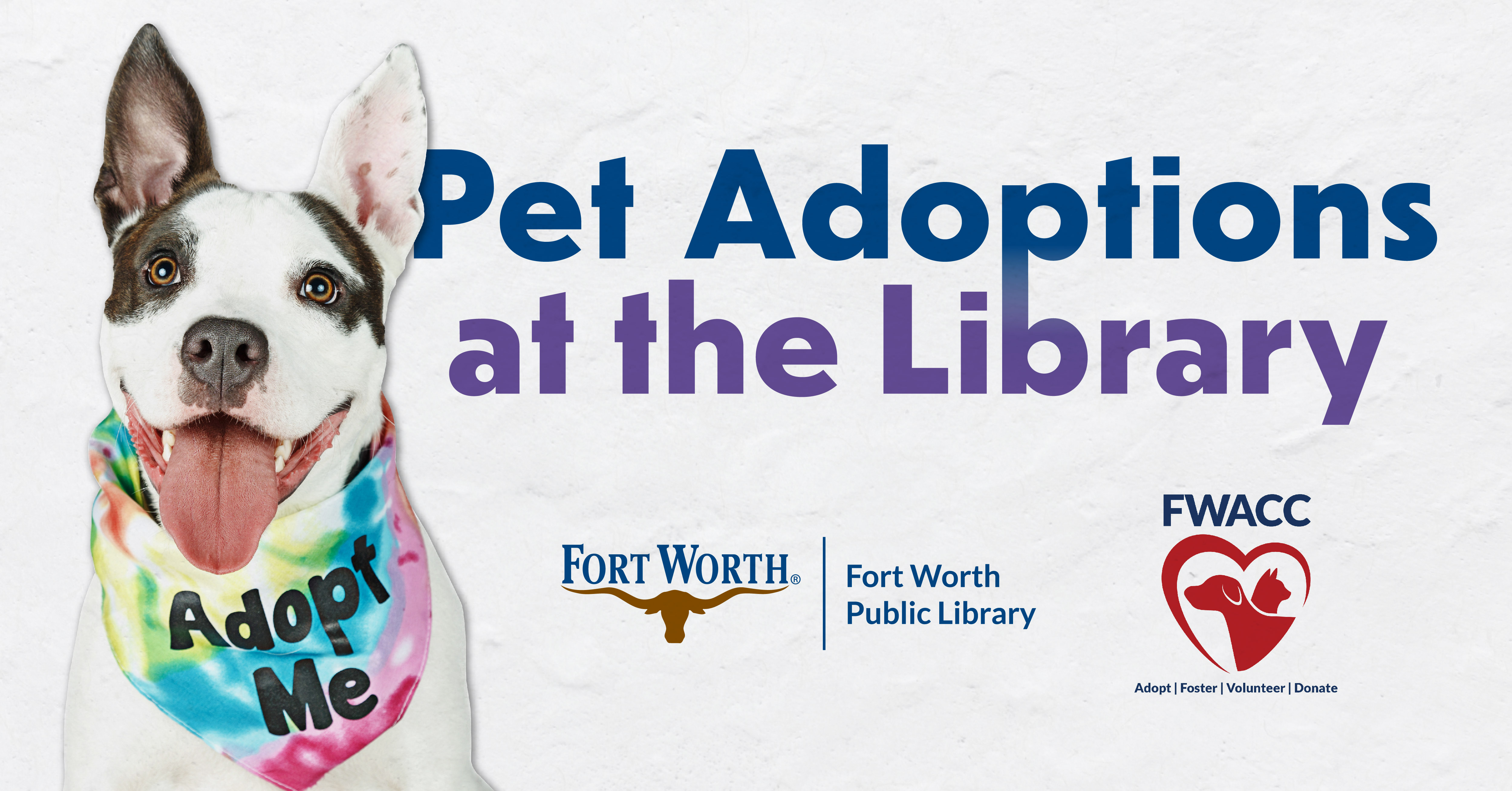 Pet Adoptions at the Library Summerglen Welcome to the City of