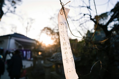 fabric hanging on branch with Japanese writing on it