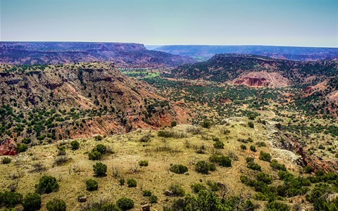 texas-landscape