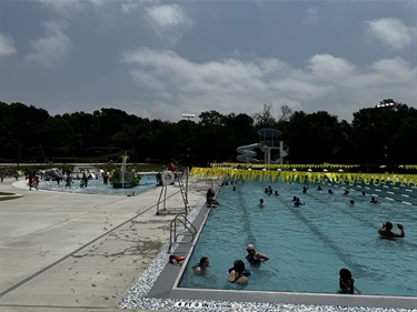 Forest Park Pool Usage