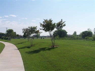 Trees and Trails