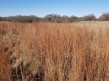 Rock Creek Ranch Park