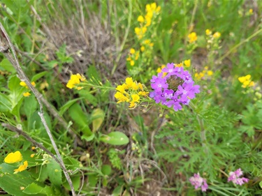 Rock Creek Ranch Park