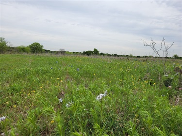 Rock Creek Ranch Park