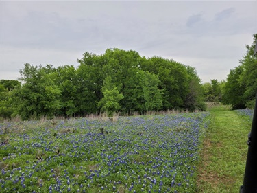 Rock Creek Ranch Park