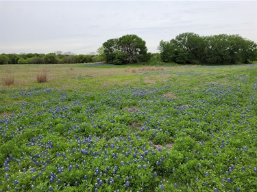 Rock Creek Ranch Park