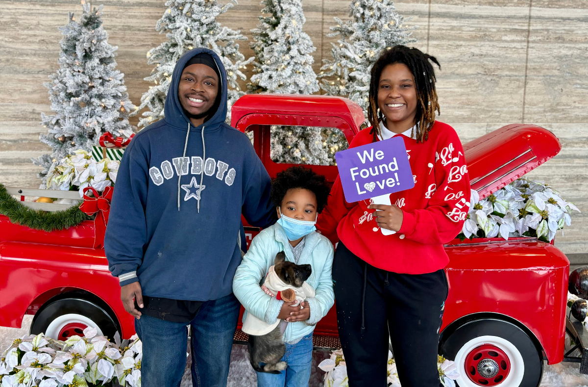 city hall family adoption