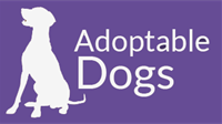 adoptdog.png