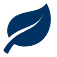 A photo of a healthy natural environment, such as a park, river, or trees.