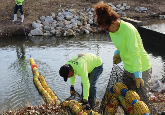 River Cleanup.png