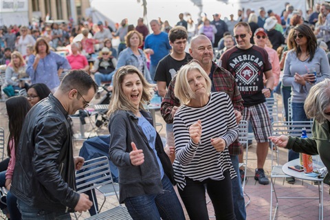 Main St. Arts Festival crowd.jpg